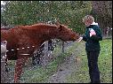 DSCN0973.JPG