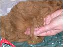 DSCN1437.JPG