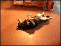 DSCN1465.JPG