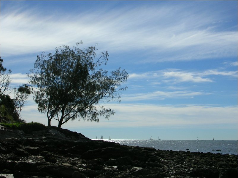 DSCN0724.JPG