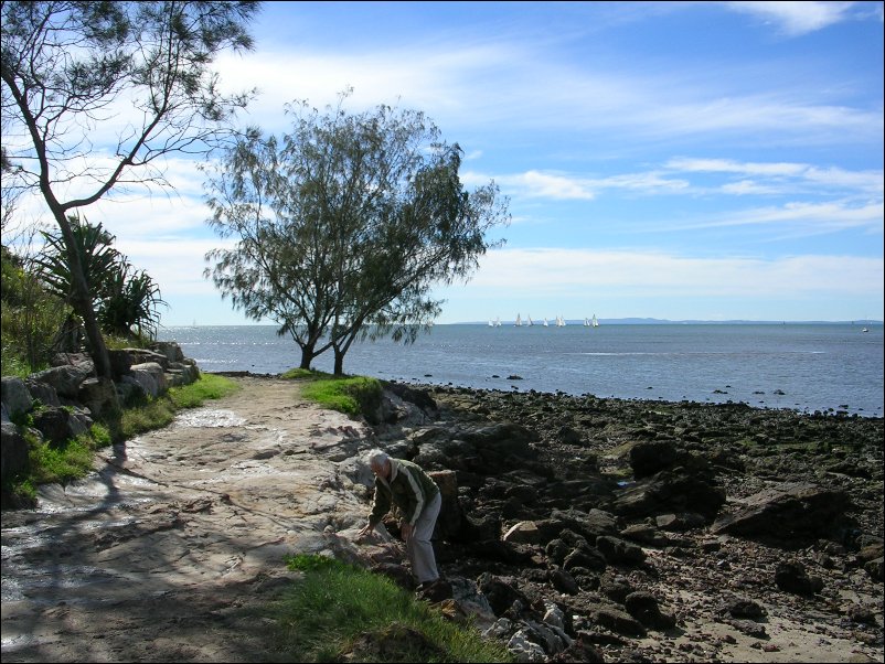 DSCN0729.JPG