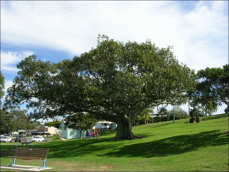 DSCN0732.JPG