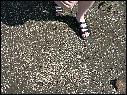 DSCN0726.JPG