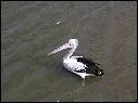 DSCN0734.JPG