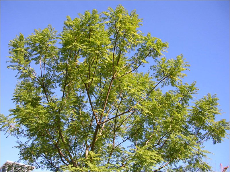 DSCN0621.JPG
