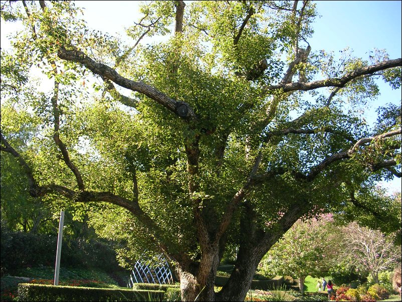 DSCN0625.JPG
