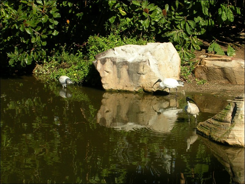 DSCN0629.JPG