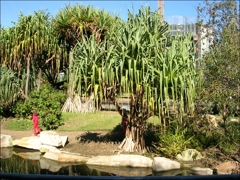 DSCN0631.JPG