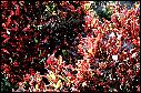 95030023.jpg
