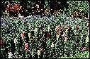 95030024.jpg