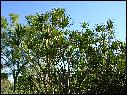 DSCN0620.JPG