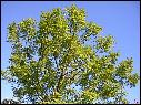 DSCN0621.JPG
