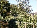 DSCN0627.JPG