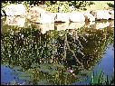 DSCN0628.JPG