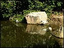 DSCN0629.JPG