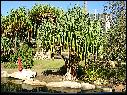 DSCN0631.JPG