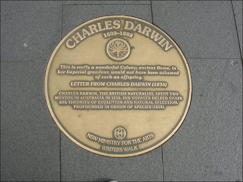 DSCN1555.JPG