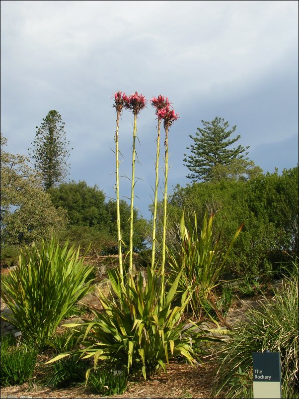 DSCN1584.JPG