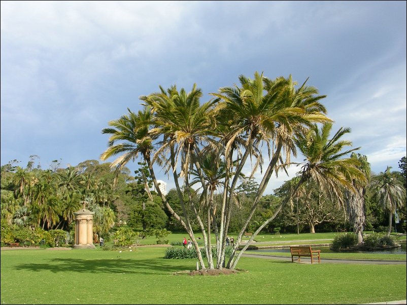 DSCN1590.JPG