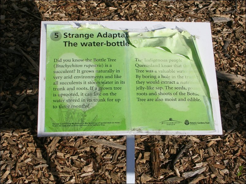 DSCN1591.JPG
