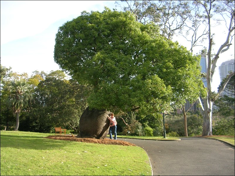 DSCN1627.JPG