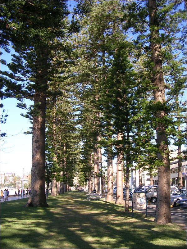 DSCN1734.JPG
