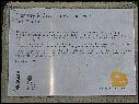 DSCN1536.JPG