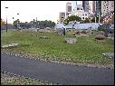 DSCN1537.JPG