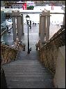 DSCN1541.JPG