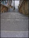DSCN1542.JPG