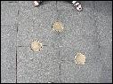 DSCN1552.JPG