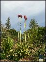 DSCN1584.JPG