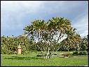DSCN1590.JPG