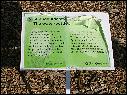 DSCN1591.JPG