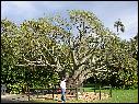 DSCN1592.JPG