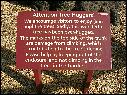 DSCN1593.JPG