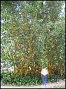 DSCN1596.JPG