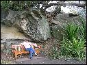 DSCN1600.JPG