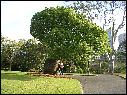 DSCN1627.JPG