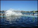 DSCN1724.JPG