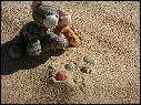 DSCN1731.JPG
