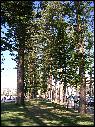 DSCN1734.JPG