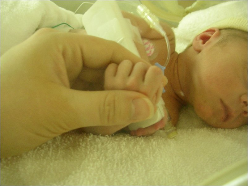 DSCN2458.JPG