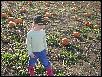 DSCN2939.JPG
