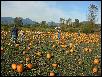 DSCN2947.JPG