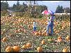 DSCN2949.JPG
