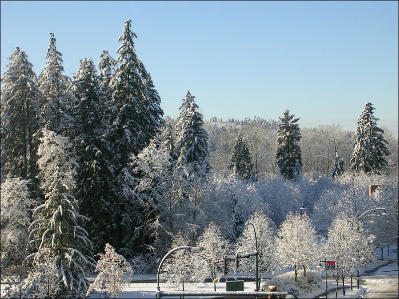 DSCN3080.JPG