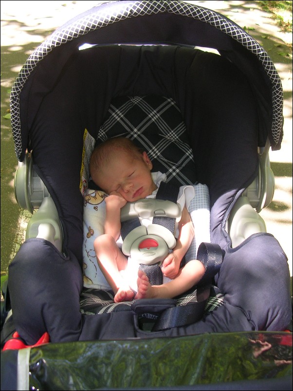 DSCN2540.JPG