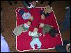 DSCN3102.JPG