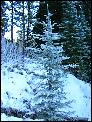 DSCN0178.JPG